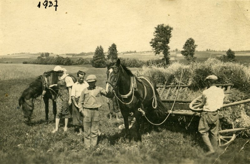 KKE 4978.jpg - Fot. Sianokosy, Miratycze, 1937/38 r.